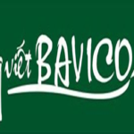 Logo Bảng Viết Bavico